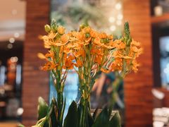-The COOK·厨餐厅·自助餐(浦东嘉里大酒店)