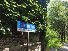 -日照海滨国家森林公园