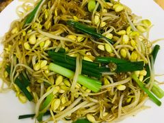 豆芽炒粉丝-海口滨海新村143号海南老字号炒菜店