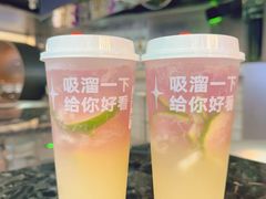 石斛柠檬茶-TD66高山铁皮石斛养生茶饮
