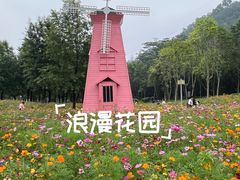 -顺峰山公园