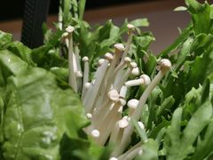 -大碗先生(万家丽店)