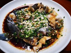 -全乐鱼馆·淳牌有机鱼直营店