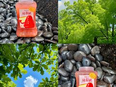 -茶理宜世(东方宝泰店)