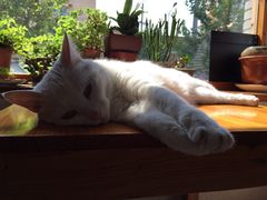 映画咖啡-映画咖啡