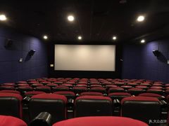 -大地影院(上海南汇店)