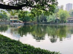 -晓港公园
