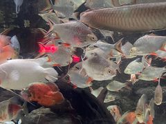 -太平洋海底世界