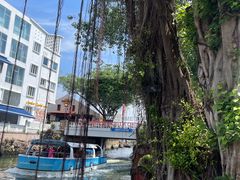 -马六甲鸡场街