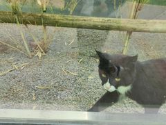 -青藏高原野生动物园