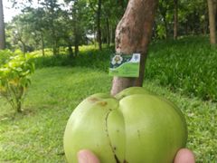 -满得意茶餐厅·顺德家常菜·港式经典(大良店)