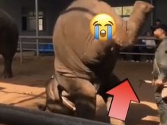 -昆明动物园