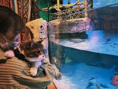 -沈阳海洋探索中心