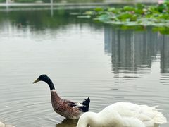 -太阳宫公园