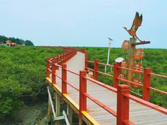 -北海金海湾红树林生态旅游区