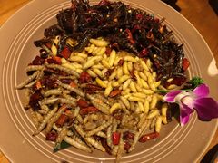 -觅山云南菜(泊富ICITY店)