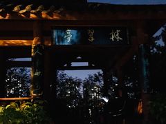 -龙头寺公园