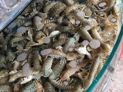 -张会海鲜饭店(东戴河店)