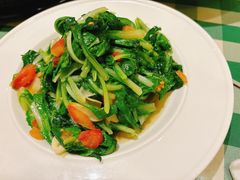 -新疆巴州金丝特餐厅(大钟寺店)