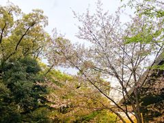 -热田神宫