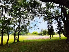 -福建鲤鱼洲酒店