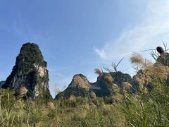 -明仕田园