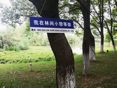 -沙家浜风景区