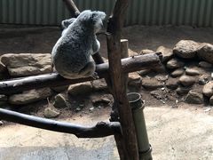 -热带雨林自然公园