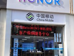 -荣耀授权专卖店(黄浦浙江中路店)