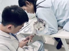 -悦宠凯宝动物医院·牙科·皮肤科(朝阳北路店)
