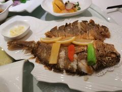 东海小黄鱼-骏莱海鲜鱼港(五角场店)