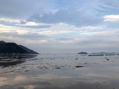 -北岐滩涂