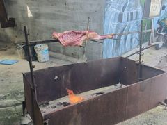 -庆岭迎宾园正宗活鱼馆