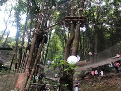-天鹿湖森林公园