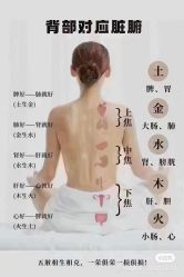 点击看大图 -玛莲朵·海菲秀冰珀科
