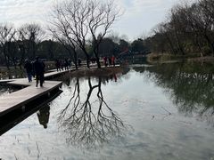 -西溪国家湿地公园