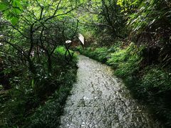 -遂昌金矿国家矿山公园