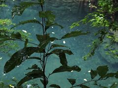 -雁荡山大龙湫景区