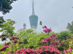 -梧桐山风景名胜区