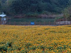 -池州市平天湖风景区