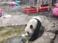 -栾川竹海野生动物园