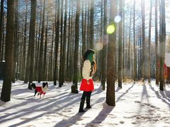 -塞罕坝国家级自然保护区