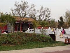 -武清南湖绿博园