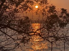 -宝安西湾红树林湿地公园