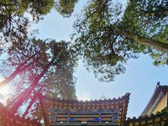 -寂照庵