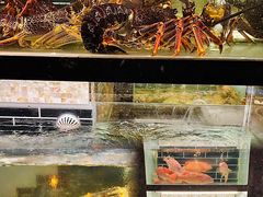 -甄御•海鲜新青岛菜(麦岛店)