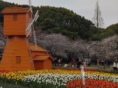 -苏州上方山国家森林公园