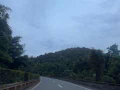 -野象谷景区