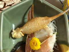 生吃蟹肉-蟹料理 北海道かに将軍(札幌本店)