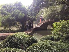 -绮园景区